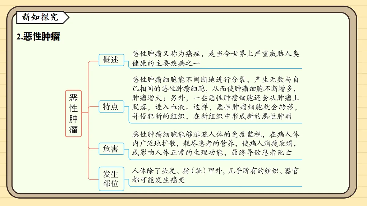 17619787第5页