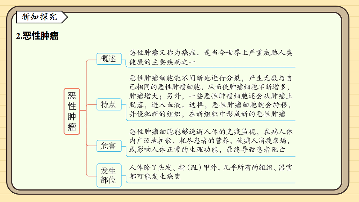 17619787第5页