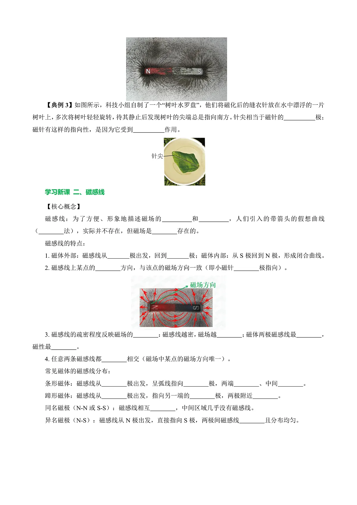 第二节 磁场 （导学案）（原卷版）第3页