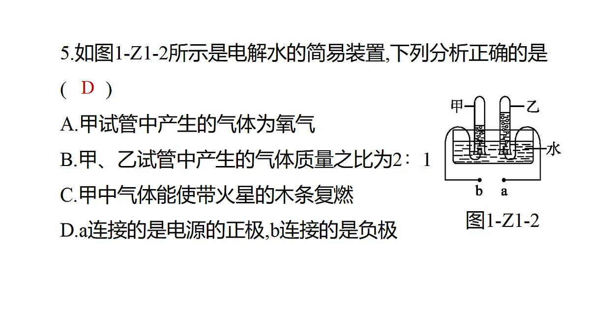 17621869第7页