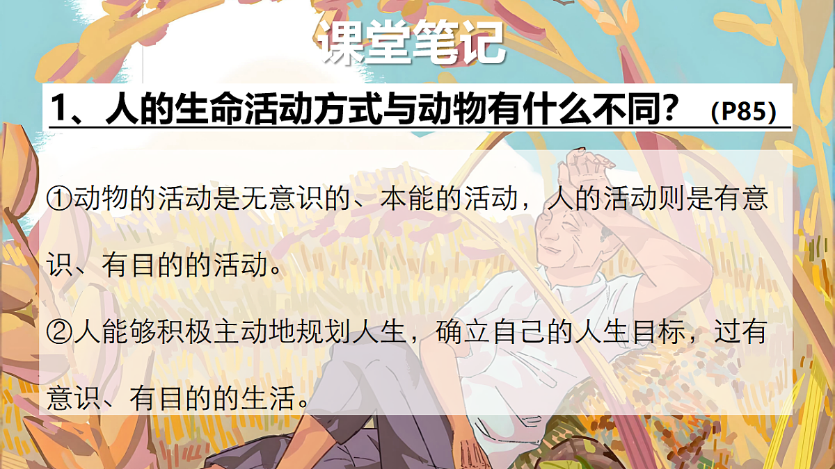 17621923第8页