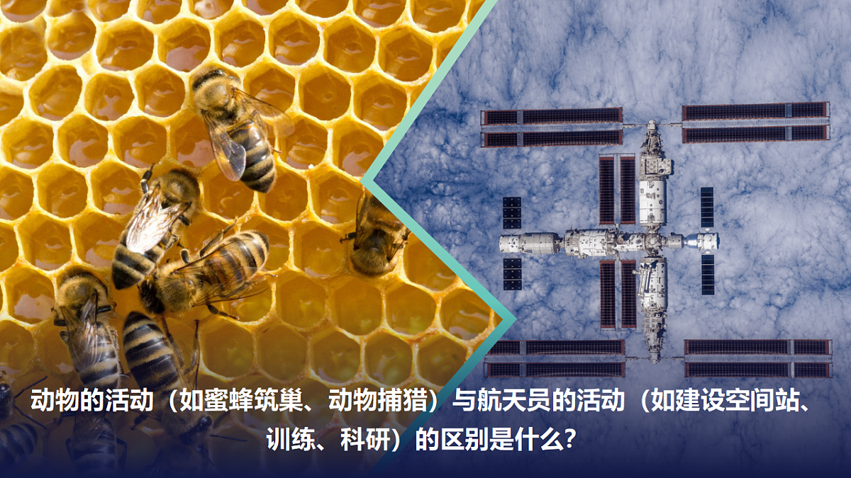 17621929第8页