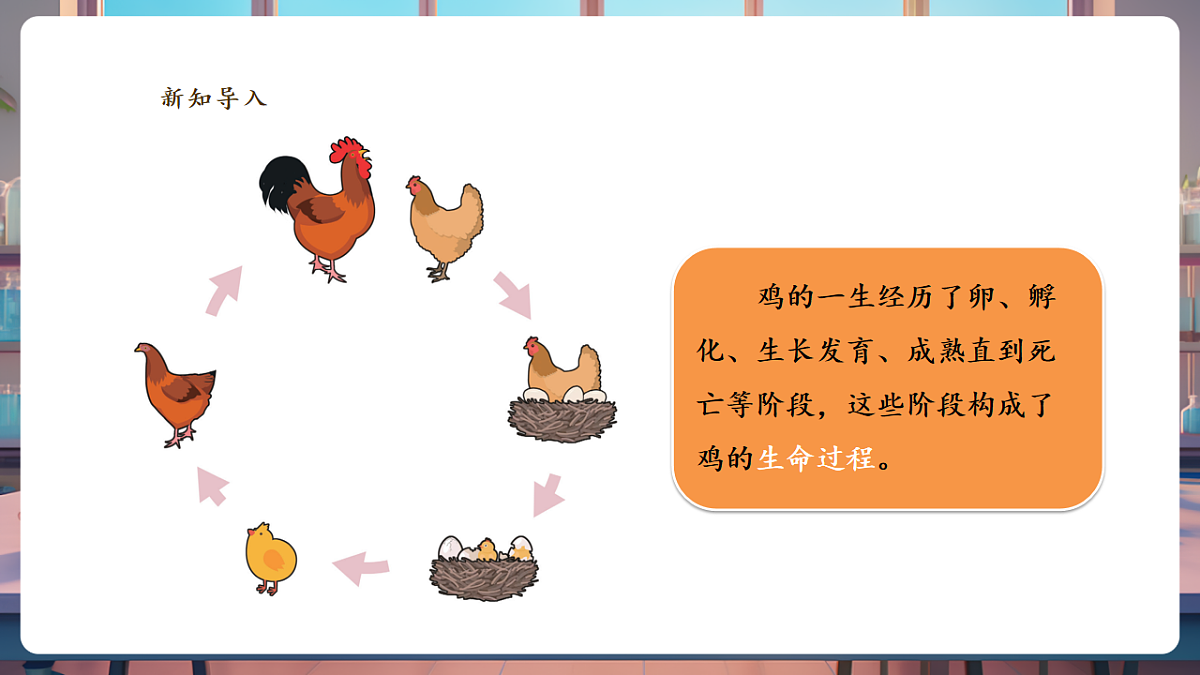 3.5《动物的一生》课时课件第5页