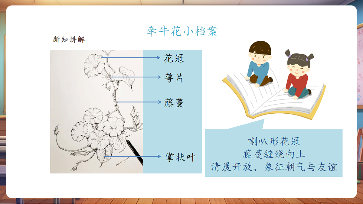 第16课《妙笔生花》精品课件（24页）第5页