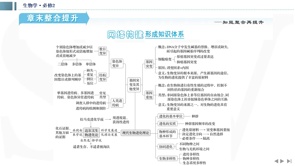 17623637第2页