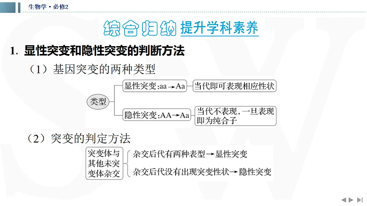 17623637第3页