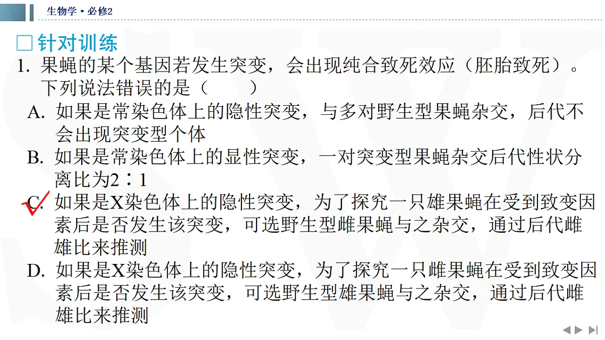 17623637第4页
