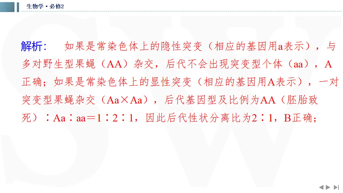 17623637第5页