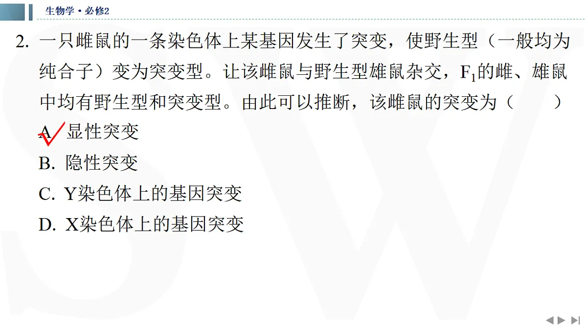 17623637第7页