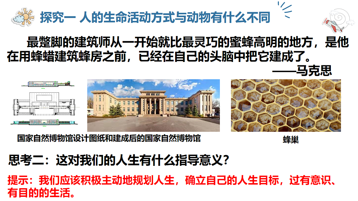 17623852第5页