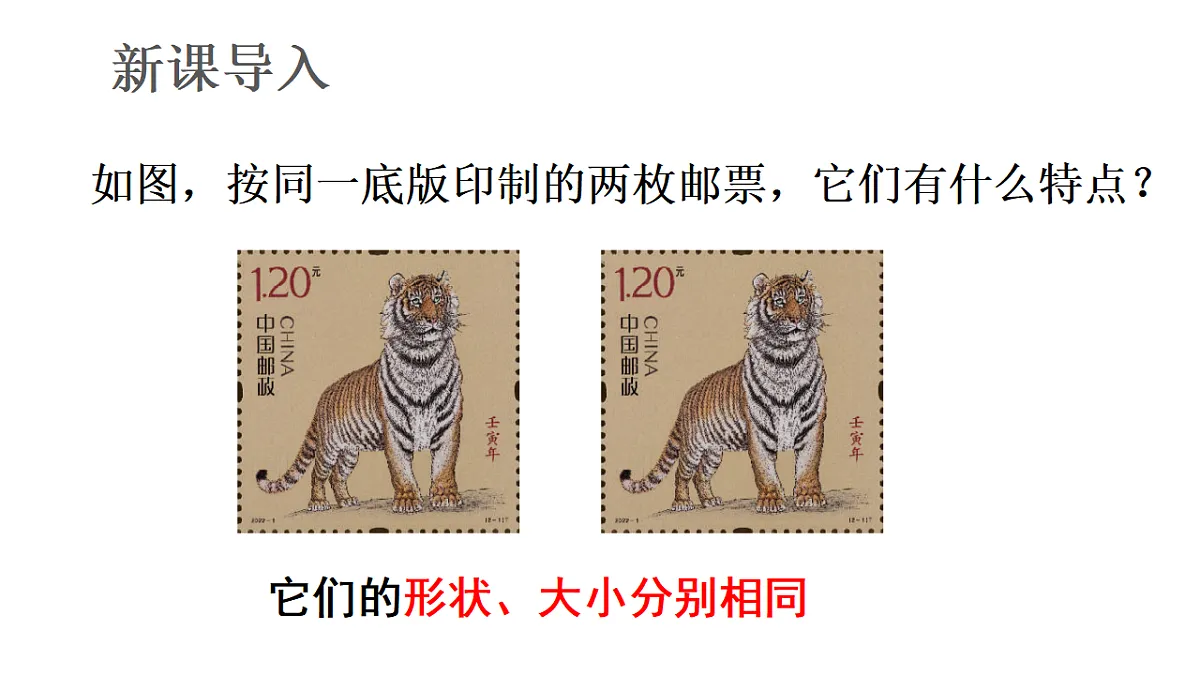17624068第3页