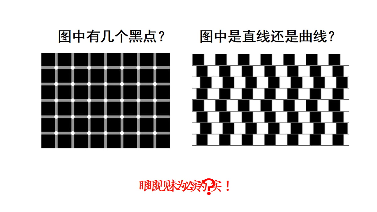 17624085第5页