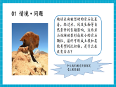 【新教材核心素养】粤教粤科版科学三年级上册4.21《土壤与岩石》教学课件+教学设计+分层作业