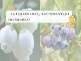 【新教材新课标】粤教粤科版科学三年级上册第6课《花、果实和种子》教学课件+素材
