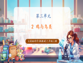 【新教材核心素养】大象版科学三年级上册3.2《鸡与鸟类》课件+课时教案+单元整体教学设计