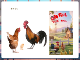 【新教材核心素养】大象版科学三年级上册3.2《鸡与鸟类》课件+课时教案+单元整体教学设计