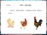 【新教材核心素养】大象版科学三年级上册3.2《鸡与鸟类》课件+课时教案+单元整体教学设计