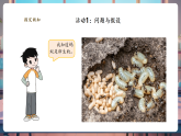【新教材核心素养】大象版科学三年级上册3.4《昆虫和鱼类》课件+课时教案+单元整体教学设计