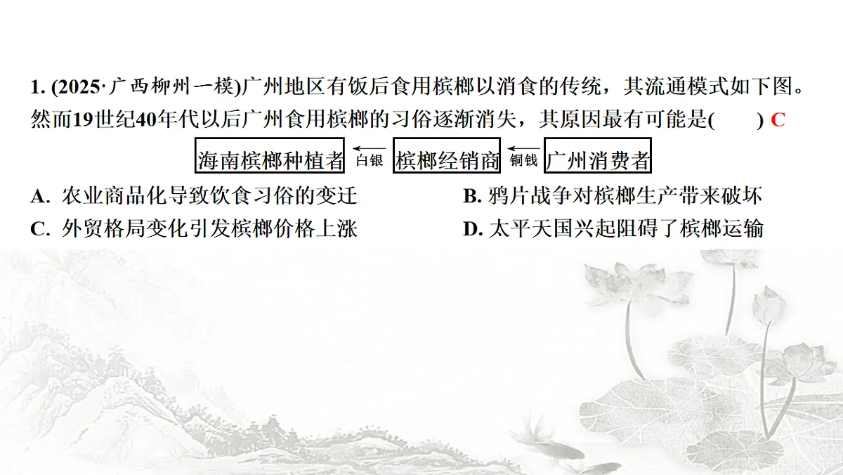 17625911第2页