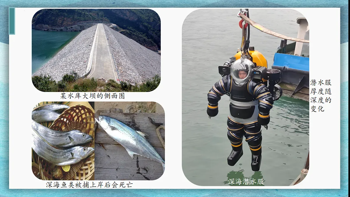 17626306第3页