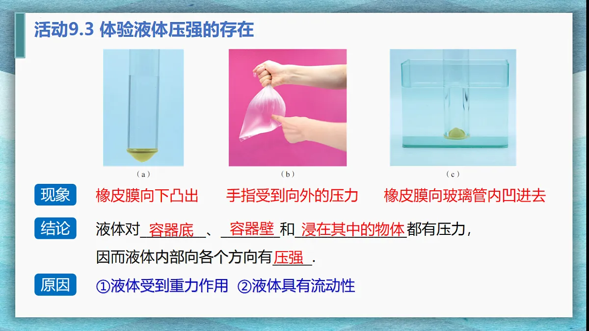 17626306第4页