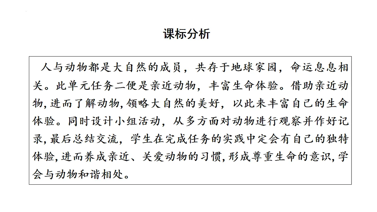 17626479第2页