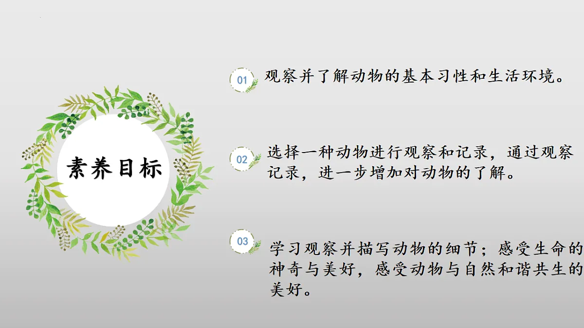 17626479第3页