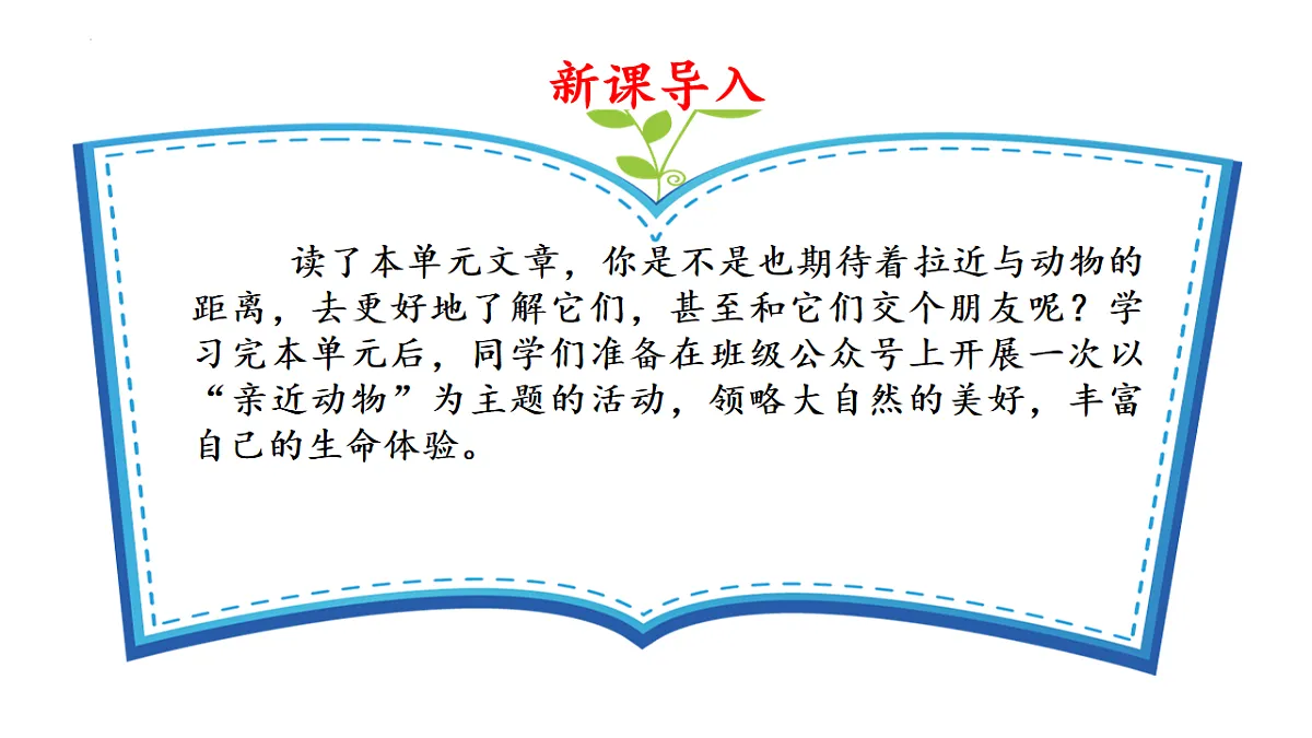 17626479第6页