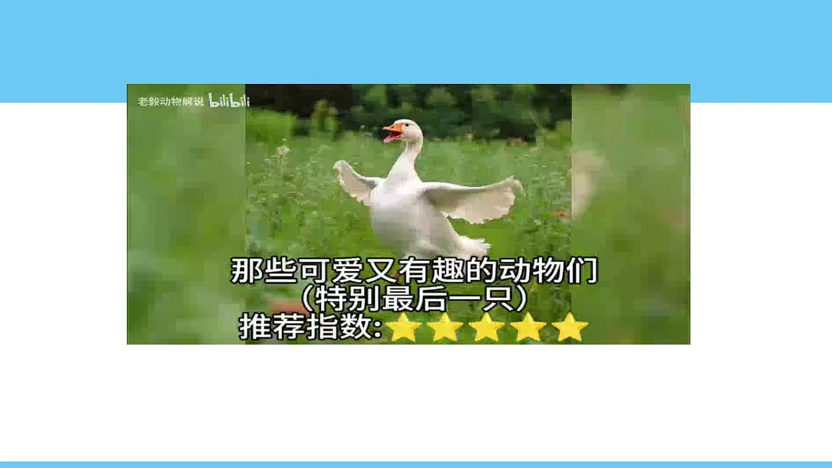 17626479第7页