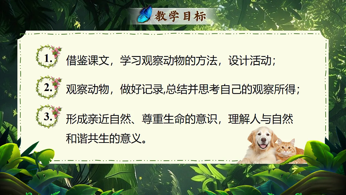 17626480第2页