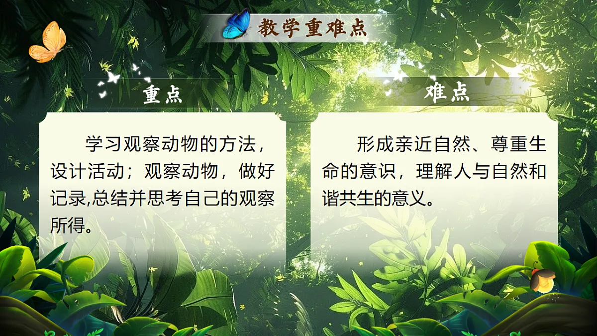 17626480第3页
