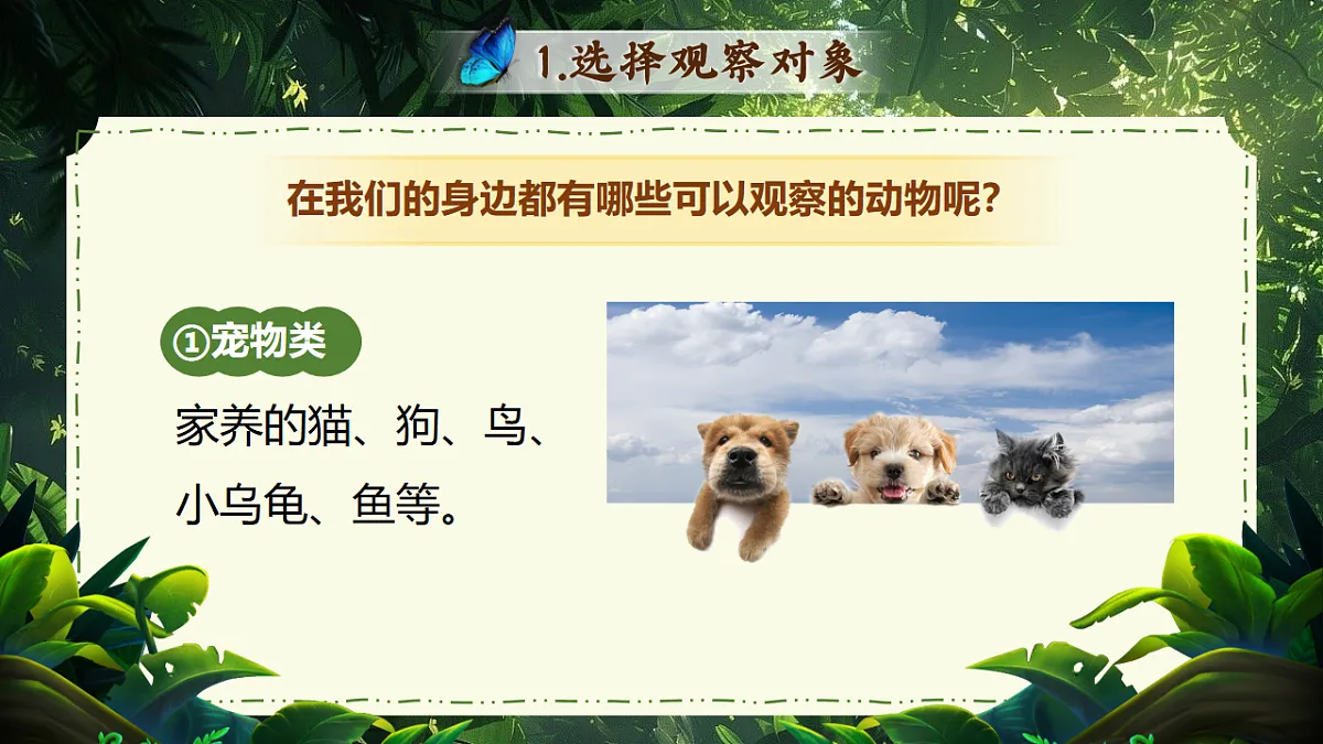 17626480第6页