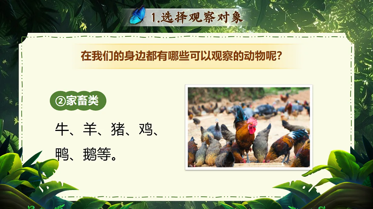 17626480第7页