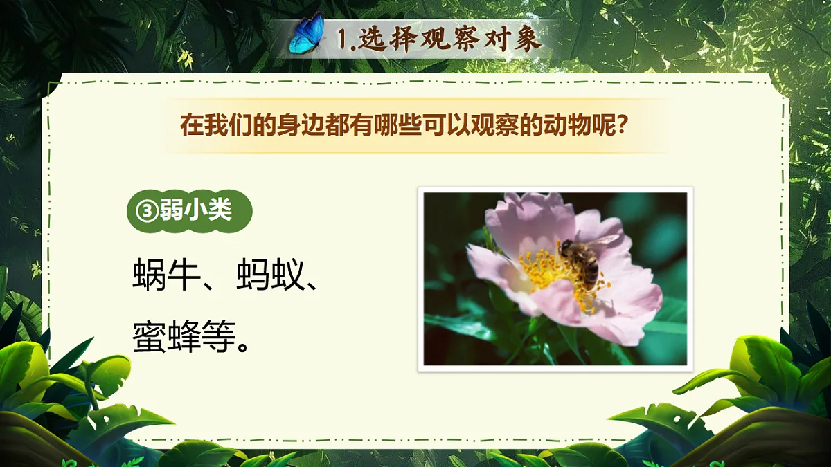 17626480第8页