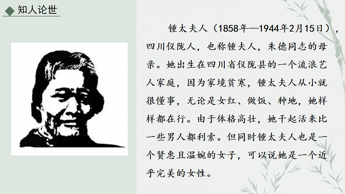 17626494第5页