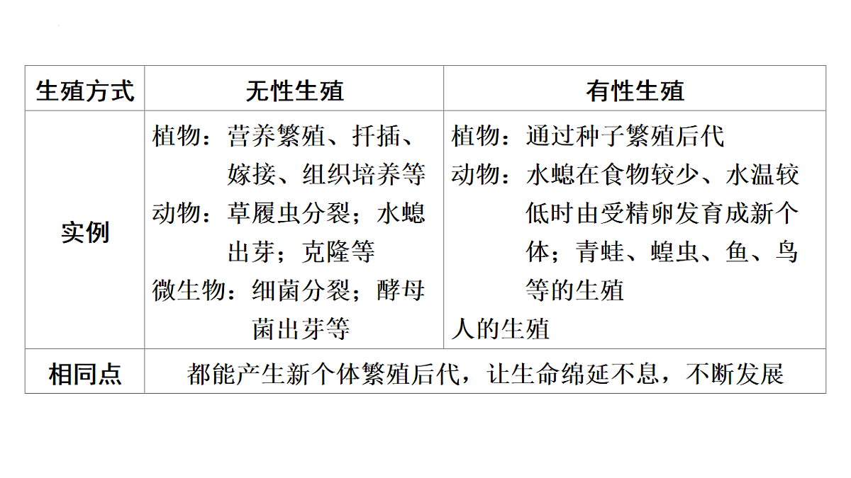 17626522第4页