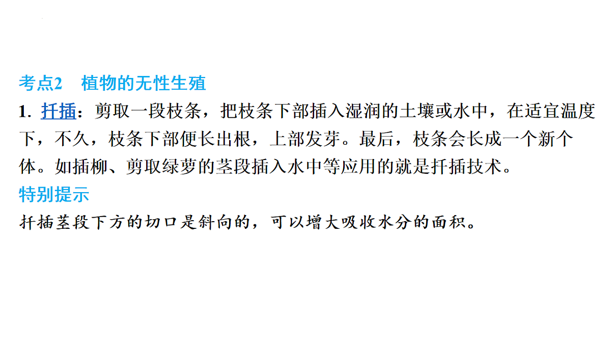 17626522第5页