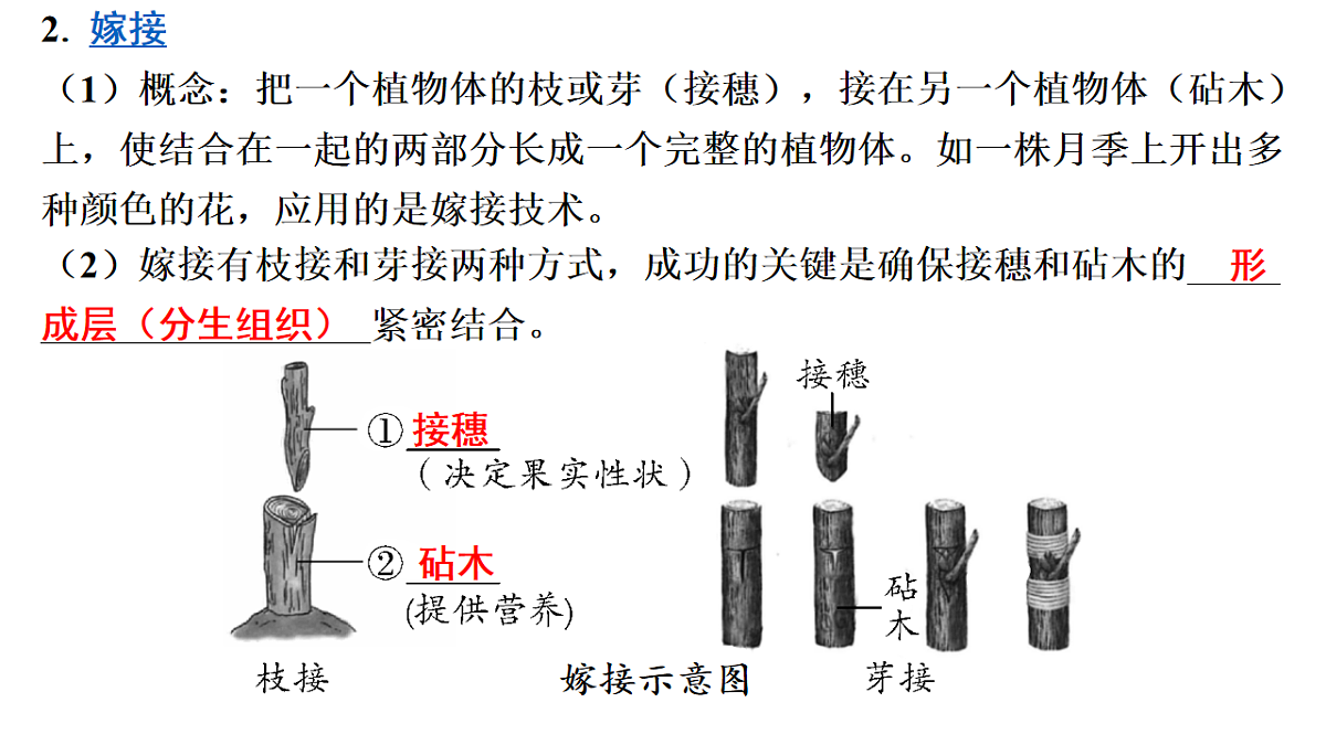 17626522第6页