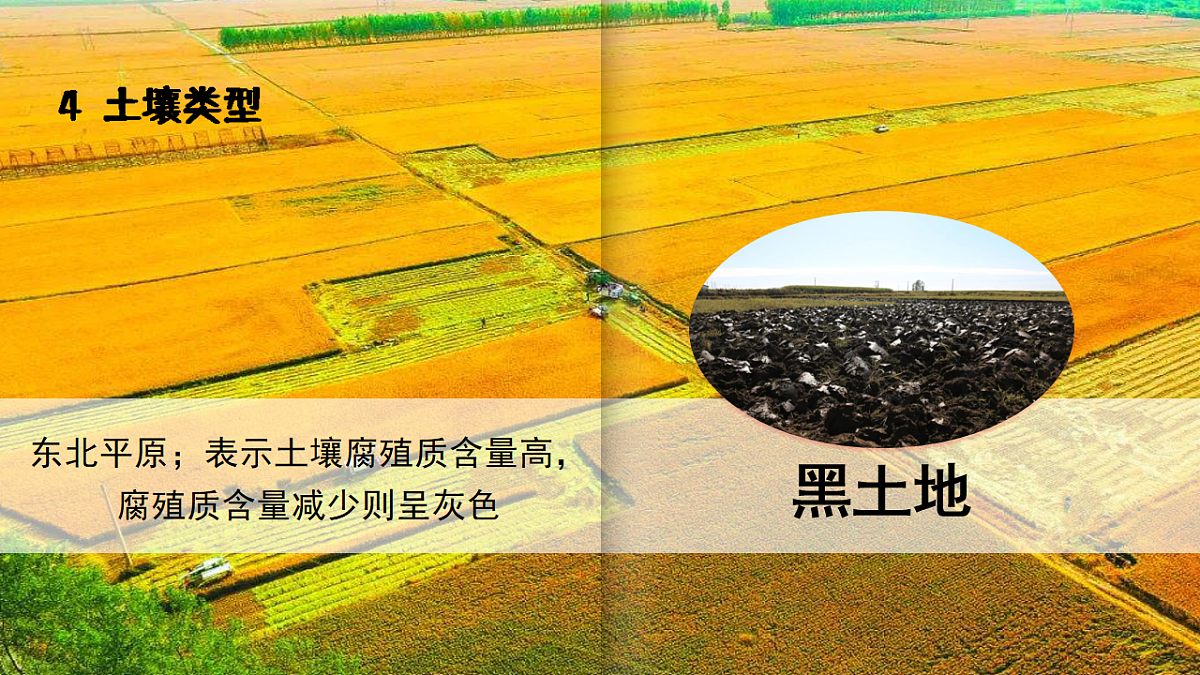 17626869第8页