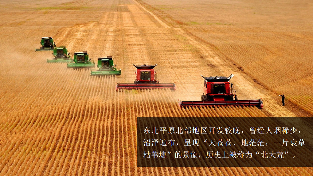 17626870第3页