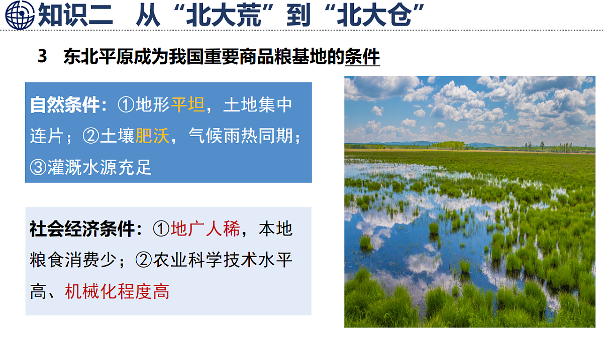 17626870第5页