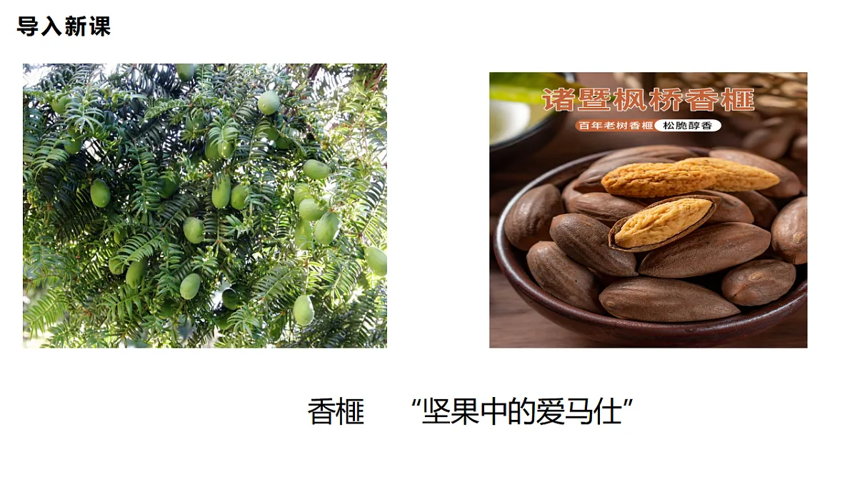 17628267第1页