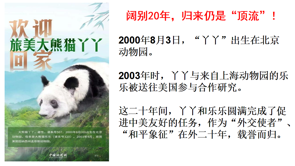 17628389第1页