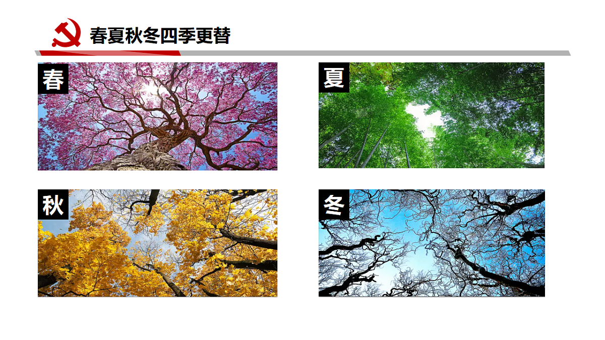 17628394第4页