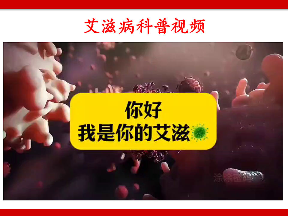 17630195第2页