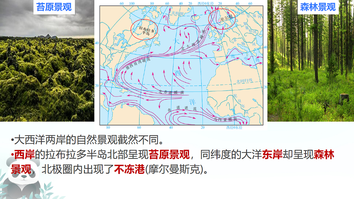 17630702第8页
