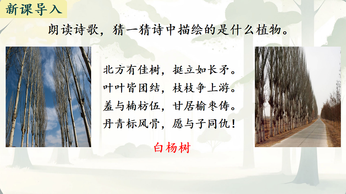 17630889第1页