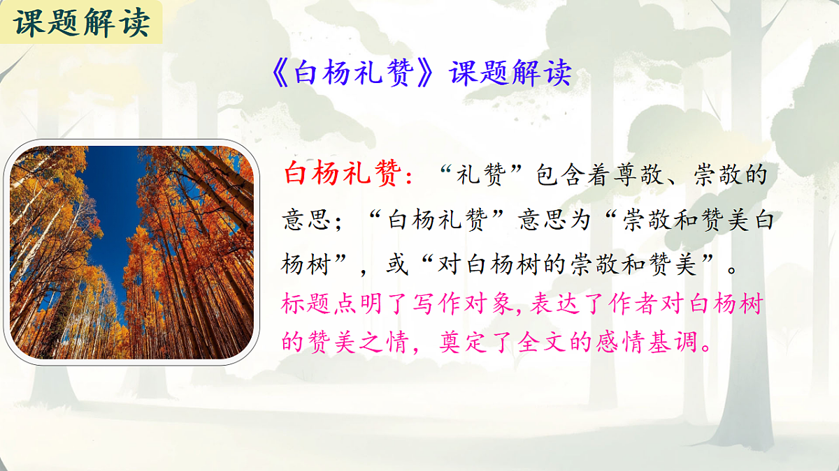17630889第7页