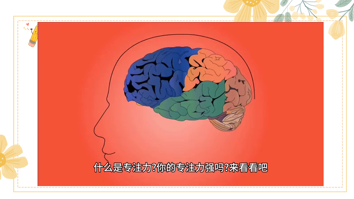 17631886第8页