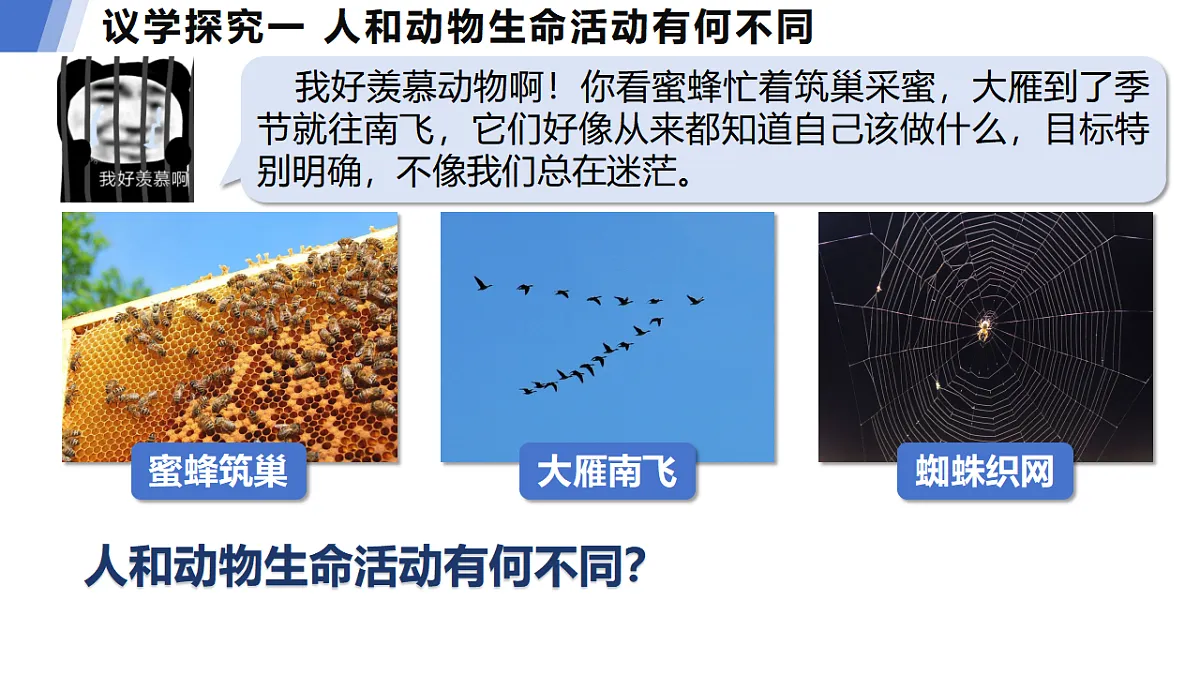 17632328第5页